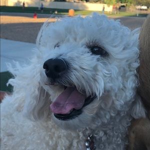 Meet your Posher, Lucy